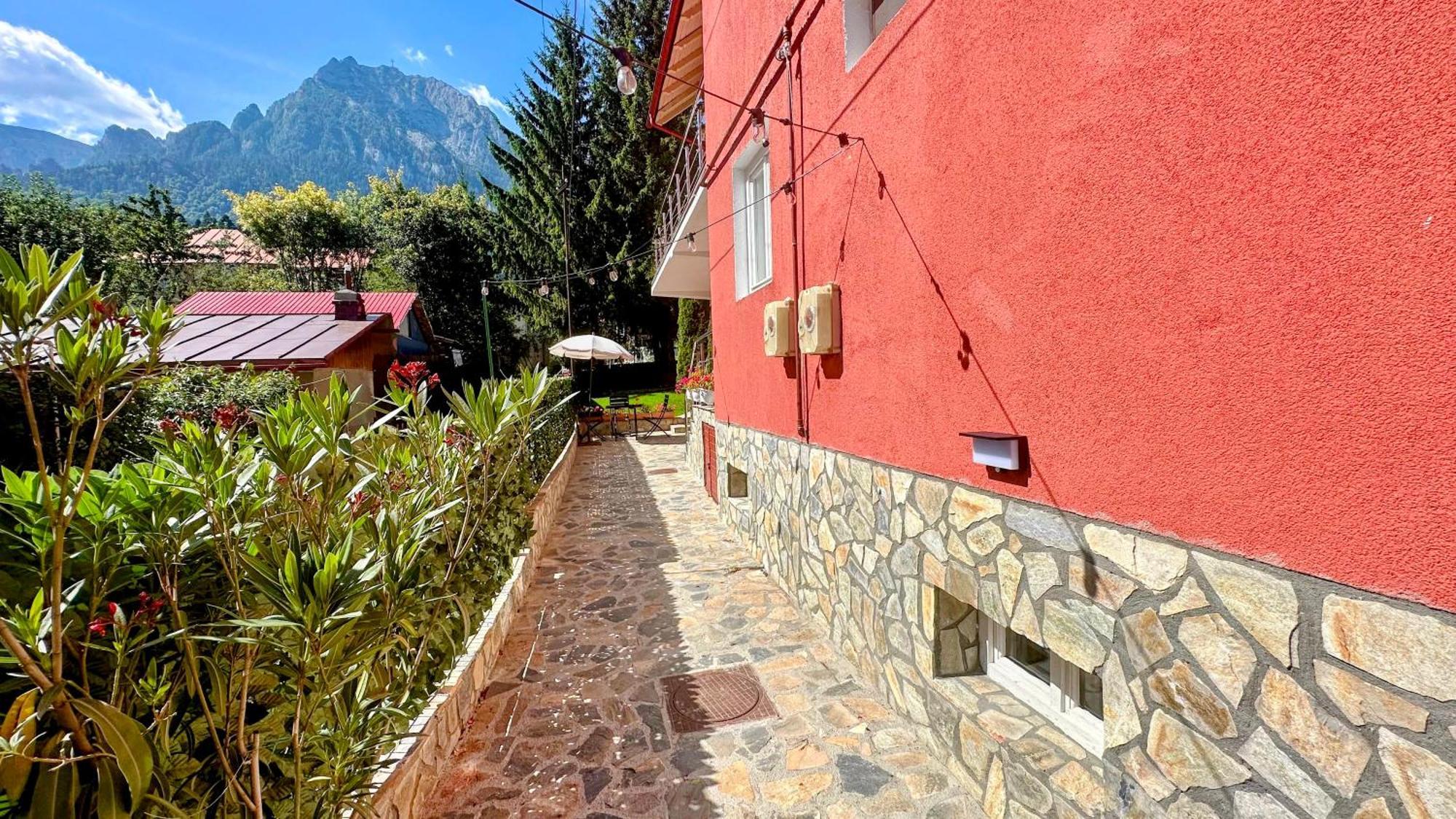 Hotel Valea Alba View - Self Check-In Buşteni Zewnętrze zdjęcie