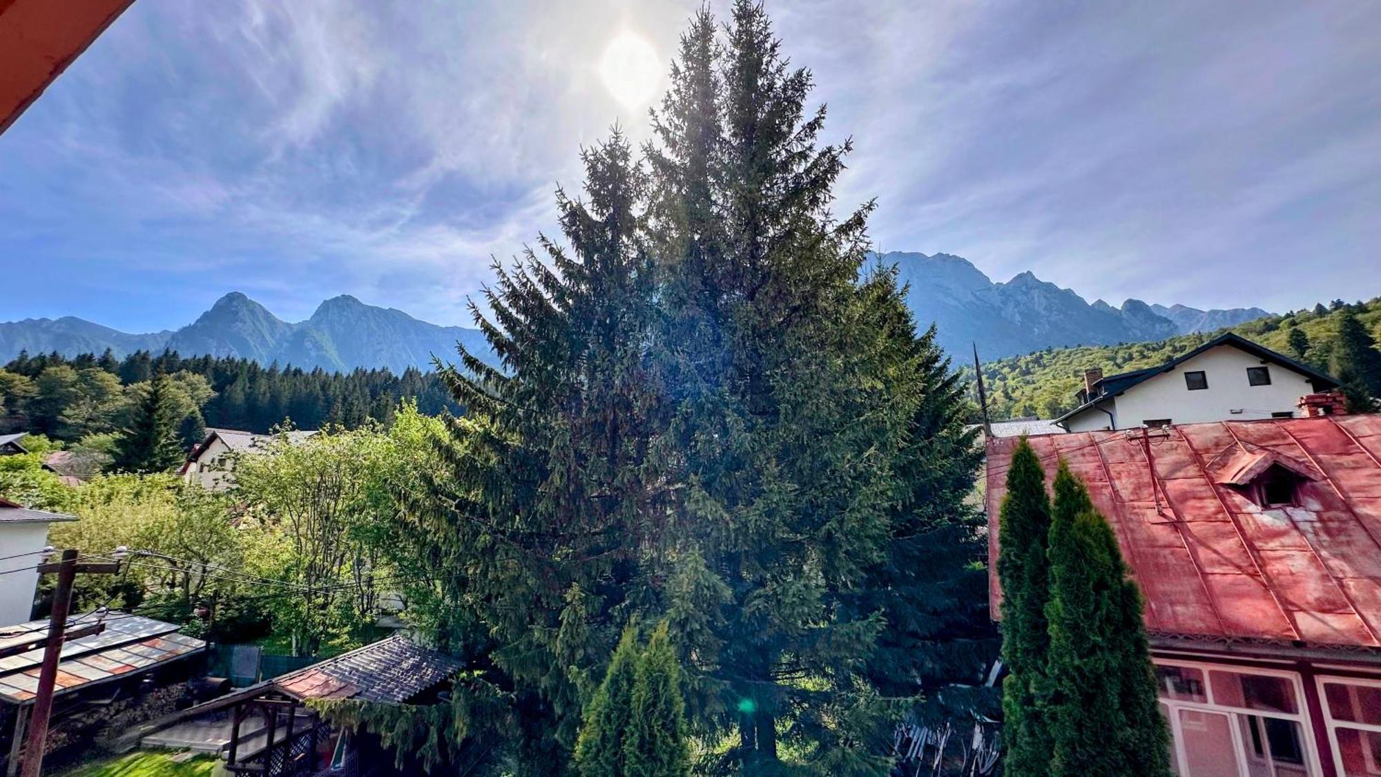 Hotel Valea Alba View - Self Check-In Buşteni Zewnętrze zdjęcie