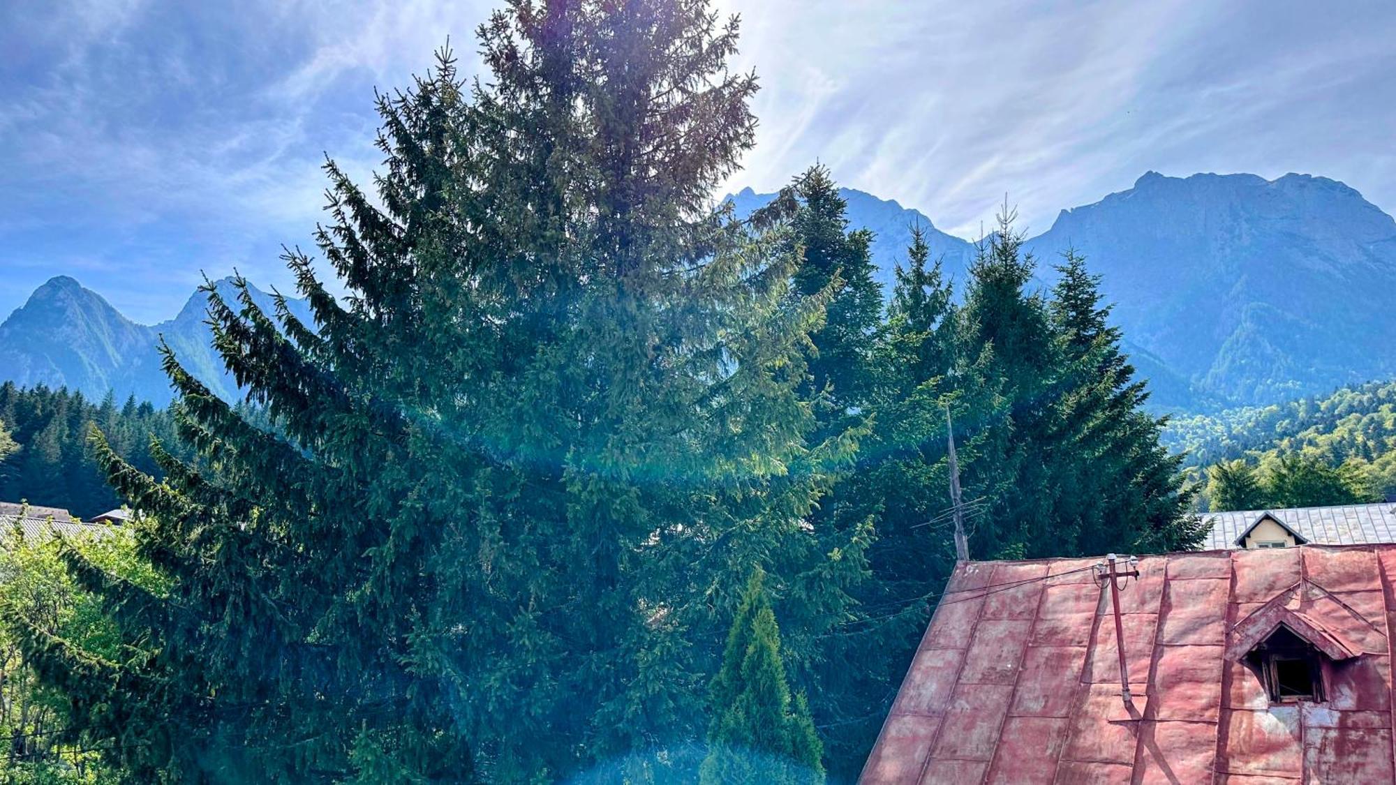 Hotel Valea Alba View - Self Check-In Buşteni Zewnętrze zdjęcie